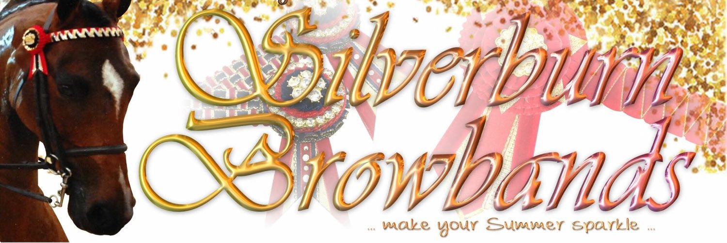 SilverburnBband's profile banner image