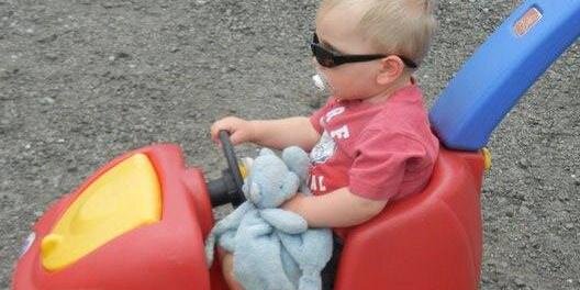 MISSING SILKY BEAR banner