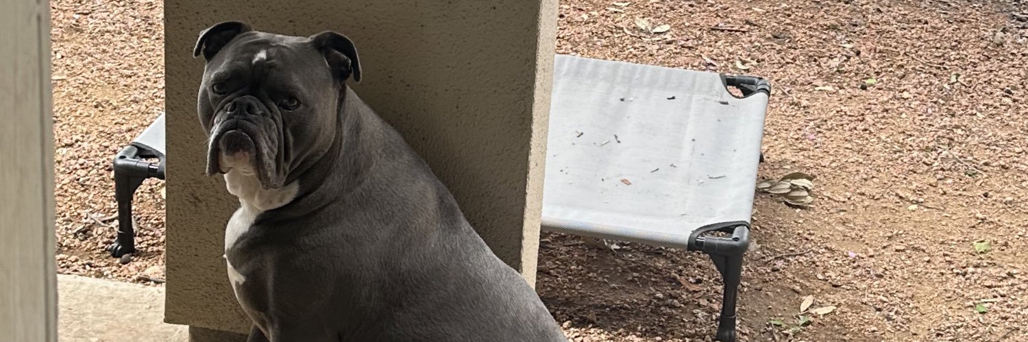 HannahTaub's profile banner image