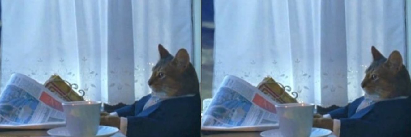 payan | TheYoloDAO banner