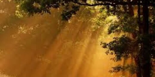 Daily_Dose_Good's profile banner image