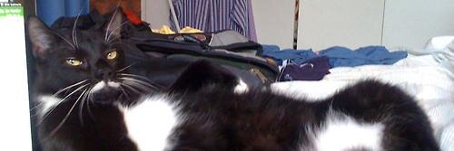 actualtucker's profile banner image