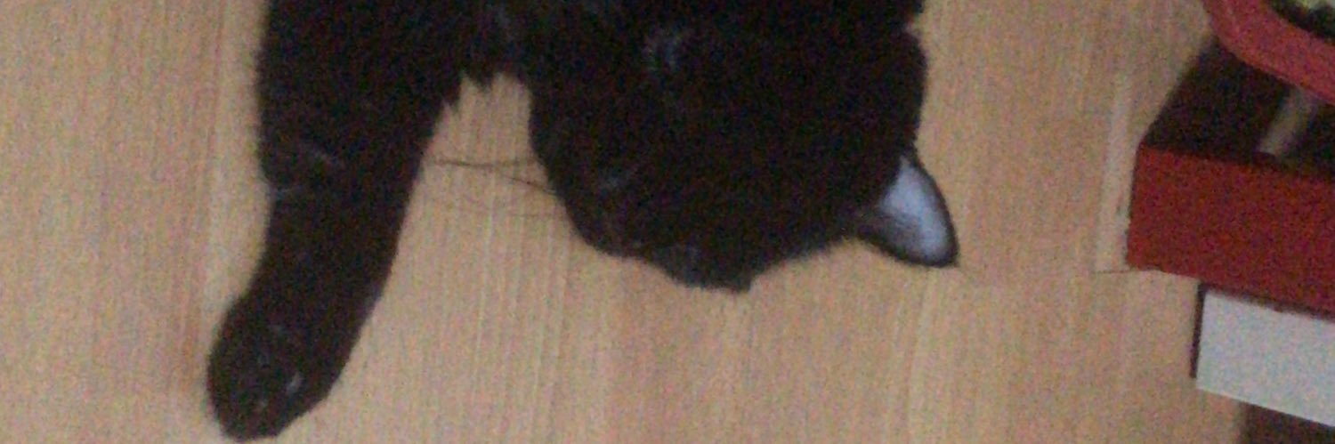 craycraypartay's profile banner image