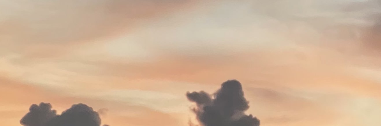 snwth_'s profile banner image