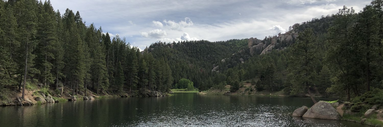 Elizabeth Wilson banner