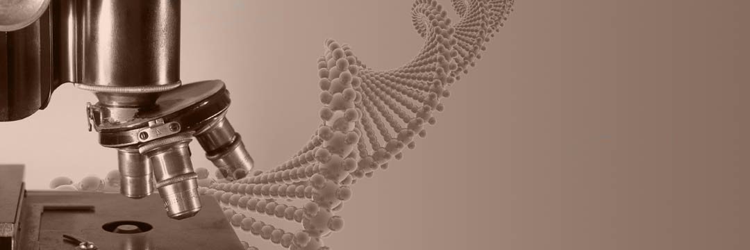 Saint John's Cancer Institute banner