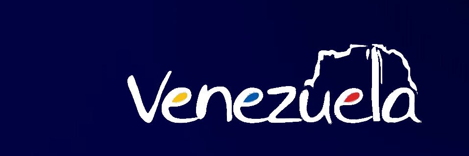 Alejandro Fleming banner