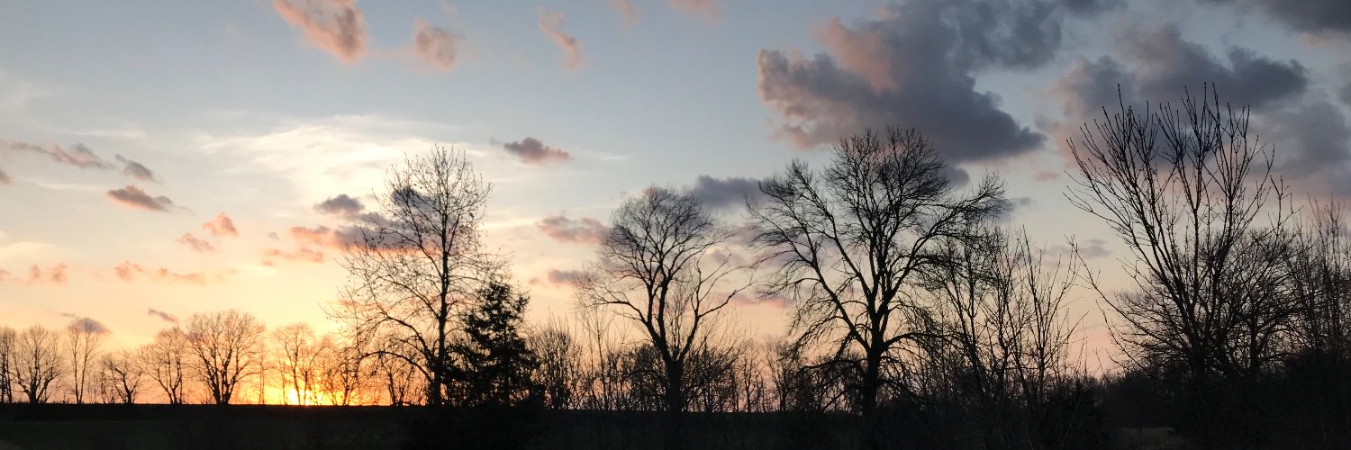 mueller_britany's profile banner image