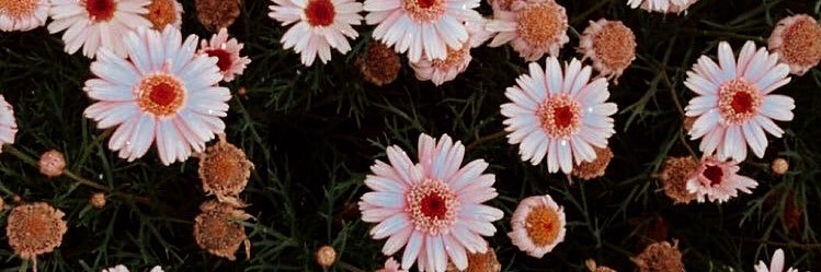 hey_brends's profile banner image