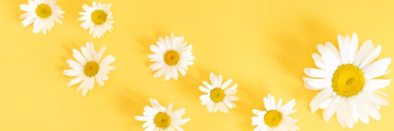 ghinaats's profile banner image