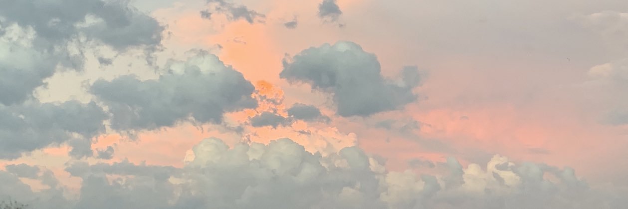 MeganKoster's profile banner image