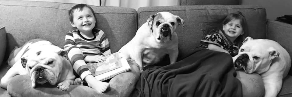 MagooCrew's profile banner image