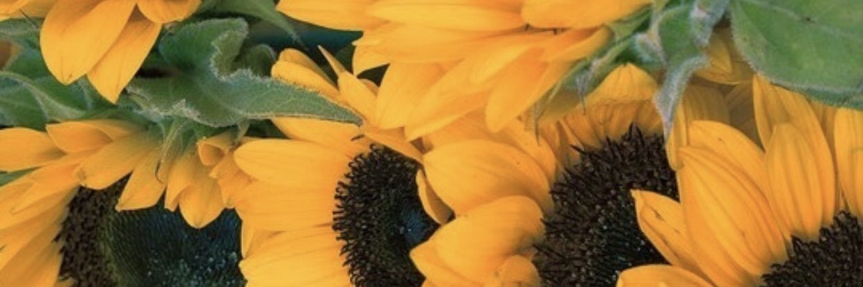 Iiseyyyy's profile banner image