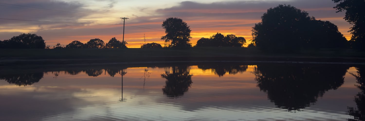 Life_oftay's profile banner image