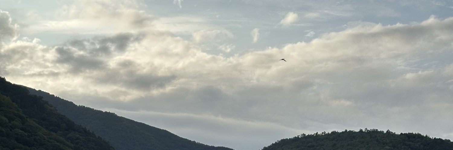 kodi banner