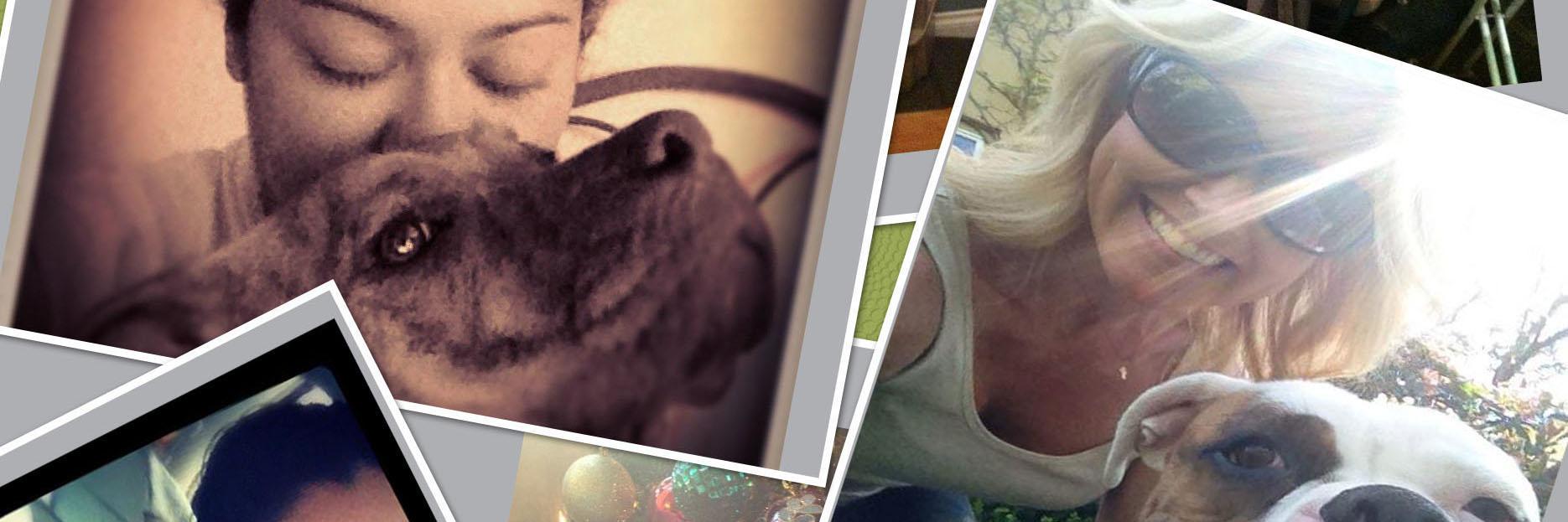 PPITSRescue's profile banner image