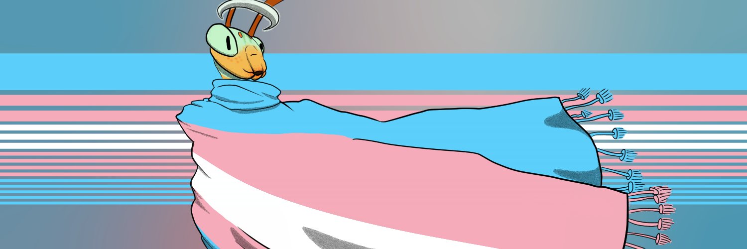 Mantidate's profile banner image