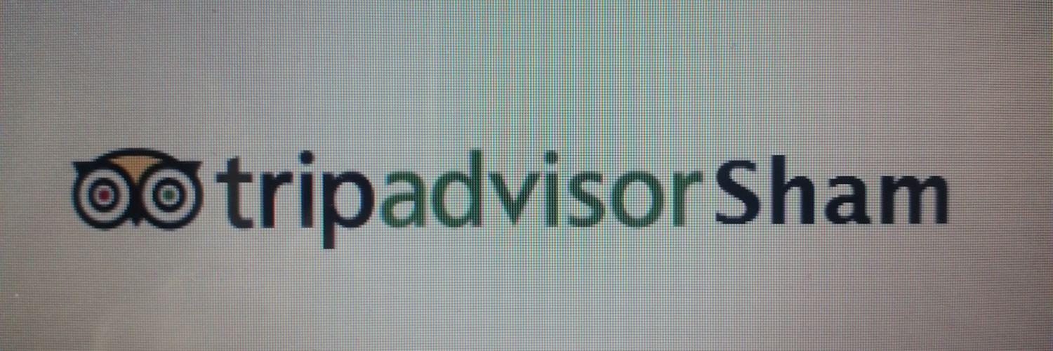 TripAdvisorSham banner