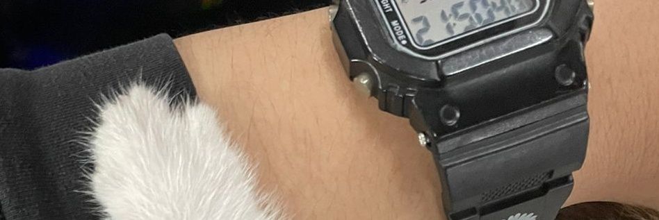 widyaft's profile banner image