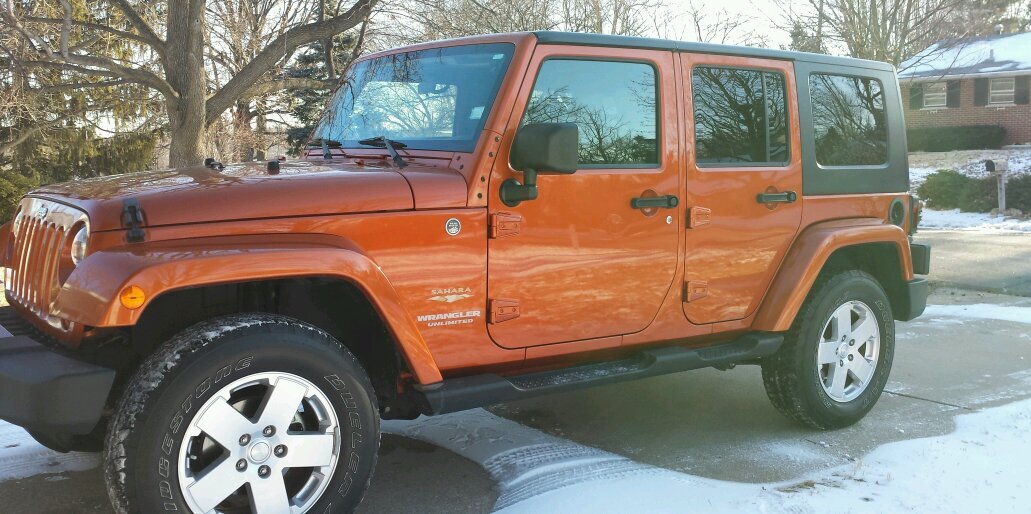 Cyber_Rose2014 banner