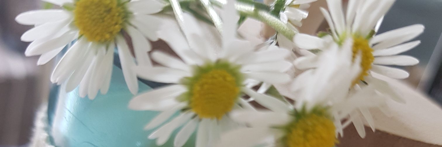 PUDZ37's profile banner image