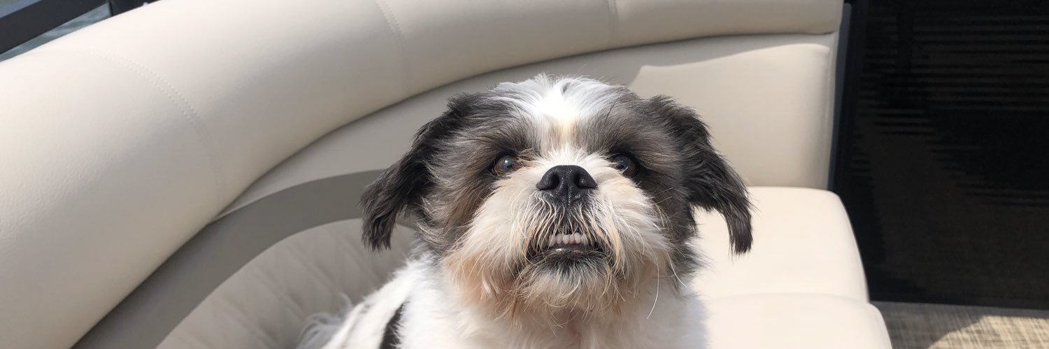 maddy_shay's profile banner image
