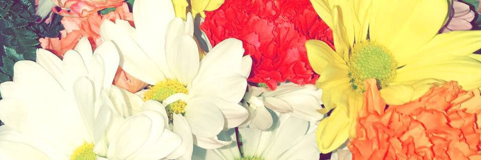 tinystephh_'s profile banner image
