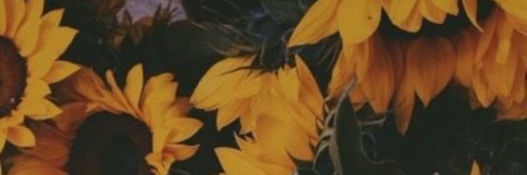 kull_jenna's profile banner image