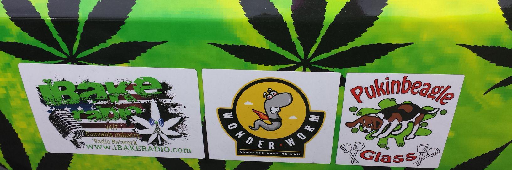LittleTreeWeed's profile banner image