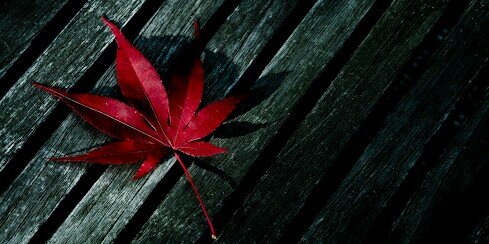 LadyN79's profile banner image