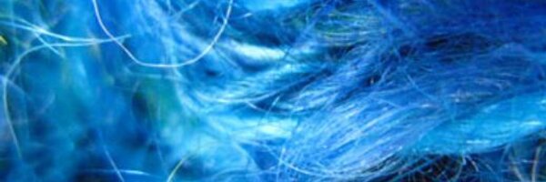 WPOG_NVOG Profile Banner