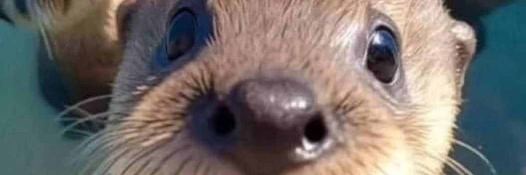 m_shellenberger's profile banner image
