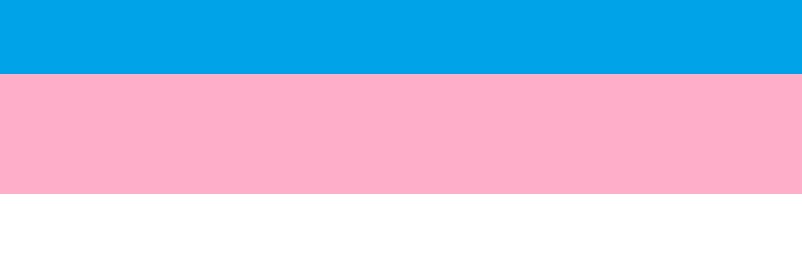 Shemales banner