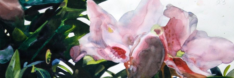 Blondelectric's profile banner image
