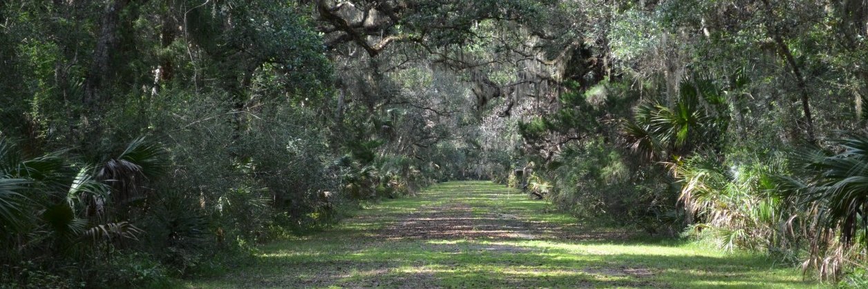 J. E. Ferrell banner