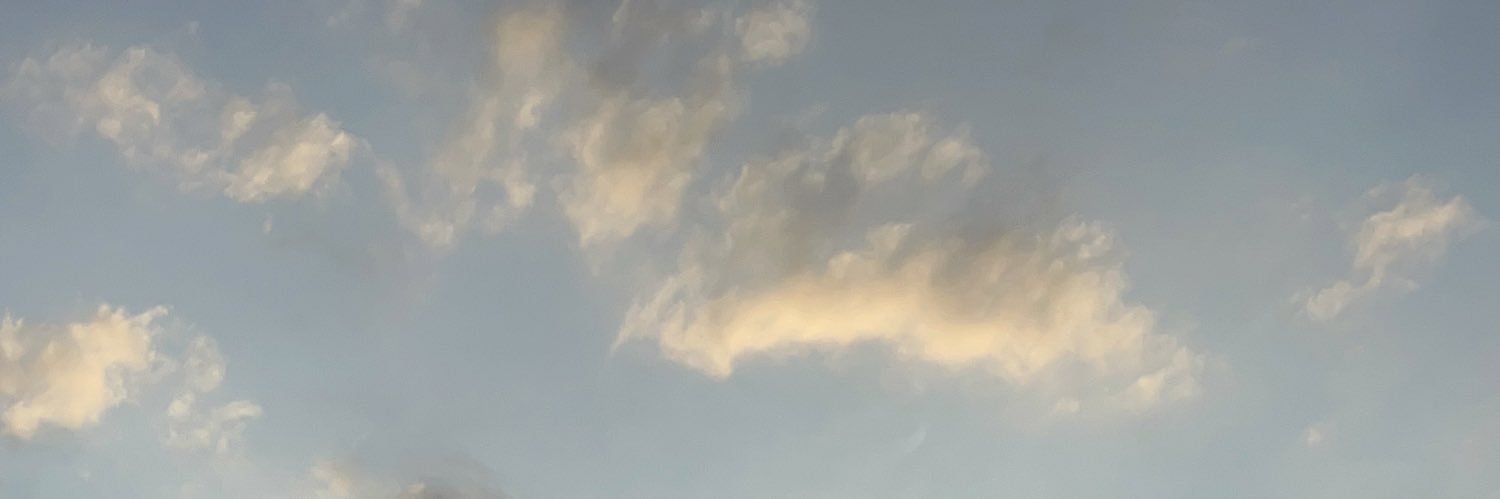 nitronanno's profile banner image