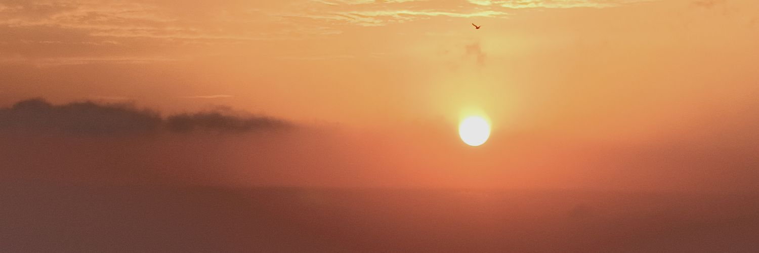 hlybydr's profile banner image