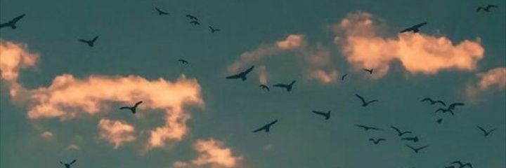 Marsili15's profile banner image