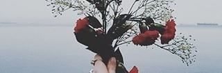 _WoroIPWN's profile banner image