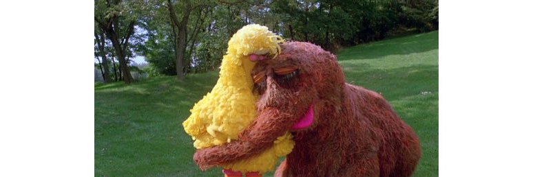 Paul Pearson, PhD banner