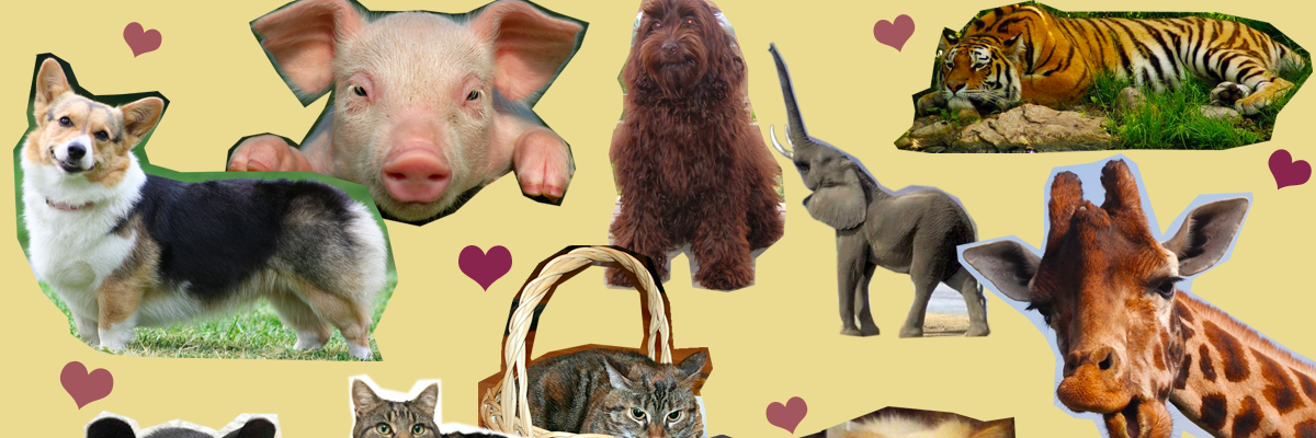 bellebethcooper's profile banner image