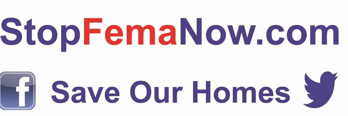 stopfemanowsc's profile banner image