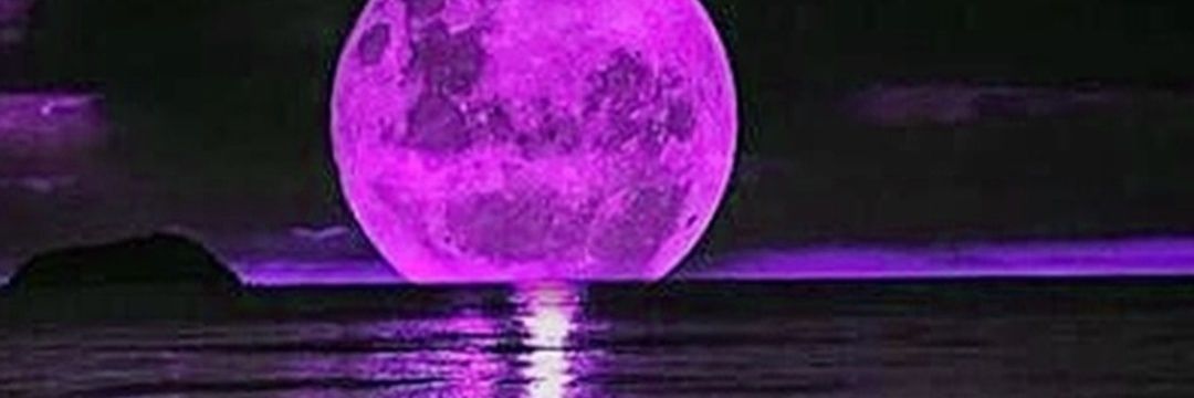 lippyshimmer's profile banner image