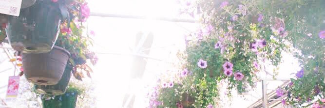 Bo_Gjerness's profile banner image