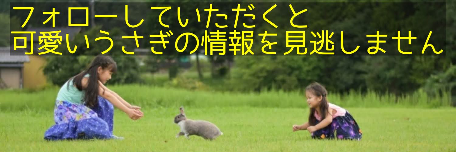 うさぎ専門店ラビットリンク's banner