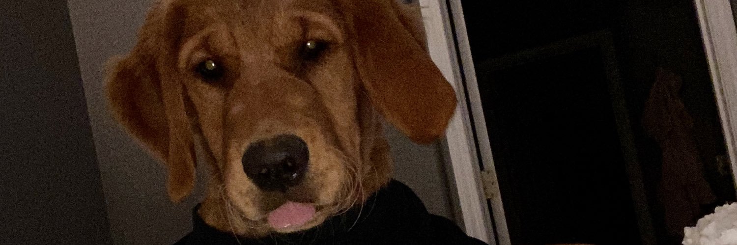 dwyaaday's profile banner image