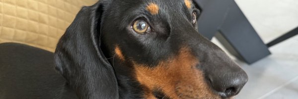 mrdaveduke Profile Banner