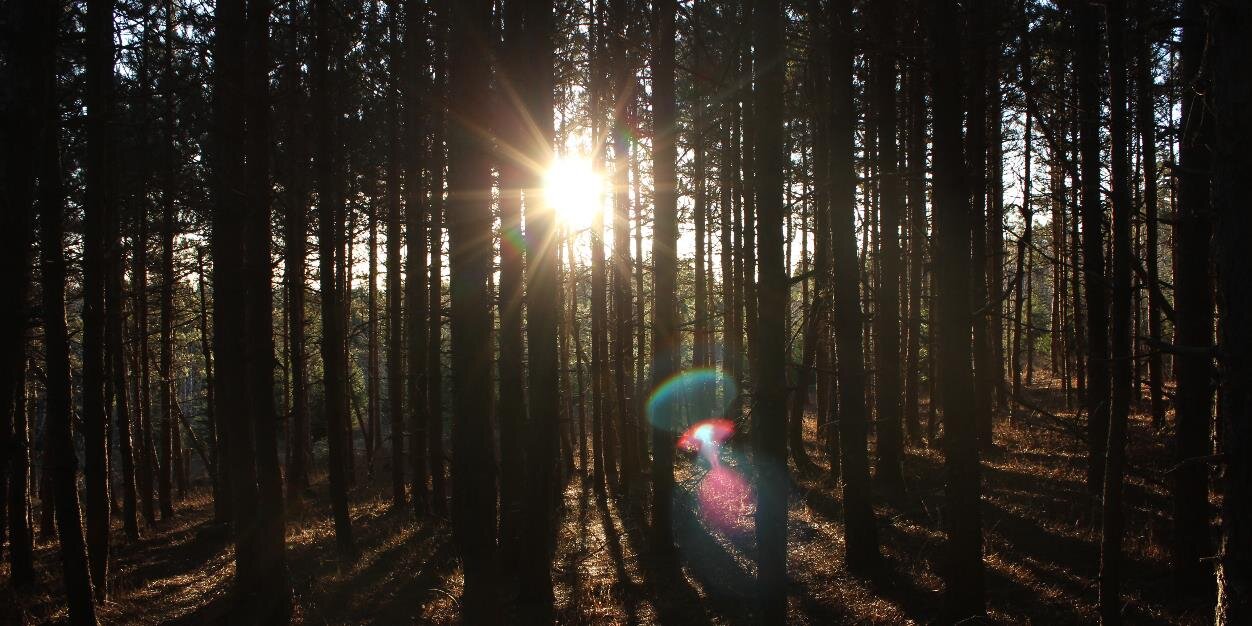 ScenicScotsburn's profile banner image