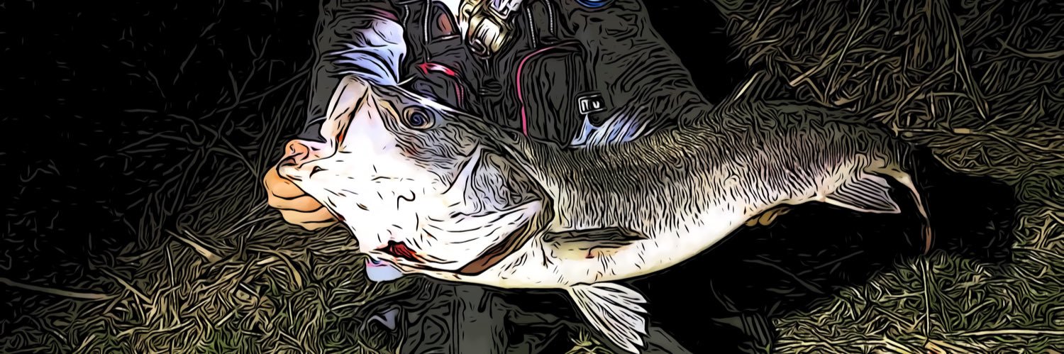 shilsfox's profile banner image