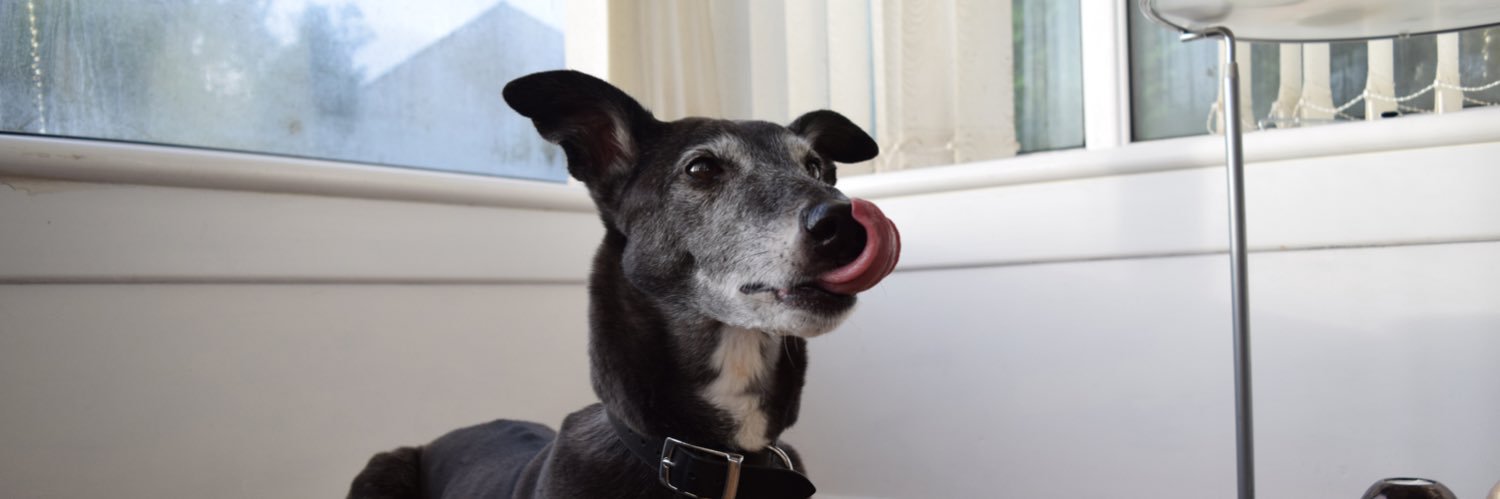 Fiona_40's profile banner image